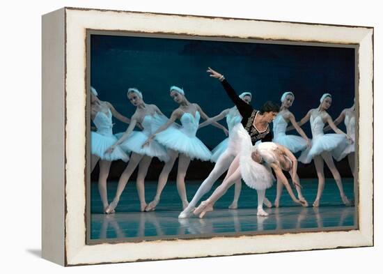 Maria Alexandrova, of the Bolshoi Ballet, as Odette in 'Swan Lake'-null-Framed Premier Image Canvas