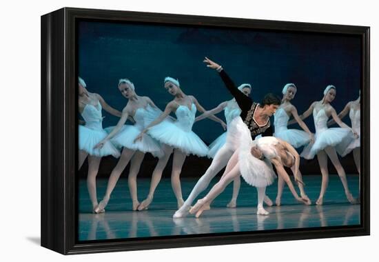 Maria Alexandrova, of the Bolshoi Ballet, as Odette in 'Swan Lake'-null-Framed Premier Image Canvas