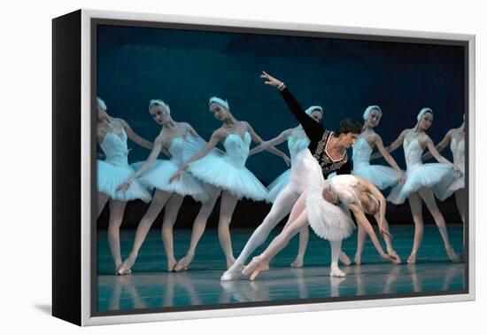 Maria Alexandrova, of the Bolshoi Ballet, as Odette in 'Swan Lake'-null-Framed Premier Image Canvas