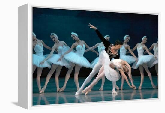 Maria Alexandrova, of the Bolshoi Ballet, as Odette in 'Swan Lake'-null-Framed Premier Image Canvas