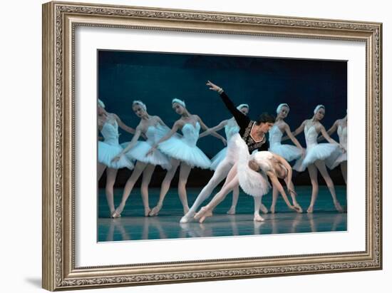 Maria Alexandrova, of the Bolshoi Ballet, as Odette in 'Swan Lake'-null-Framed Photographic Print