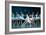 Maria Alexandrova, of the Bolshoi Ballet, as Odette in 'Swan Lake'-null-Framed Photographic Print