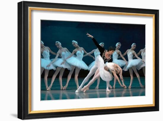 Maria Alexandrova, of the Bolshoi Ballet, as Odette in 'Swan Lake'-null-Framed Photographic Print