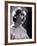 Maria Callas as Violetta in La Traviata-Houston Rogers-Framed Photographic Print