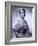 Maria Callas, December 2, 1923 - September 16, 1977, the Most Renowned Opera Singer of the 1950s-Houston Rogers-Framed Photographic Print