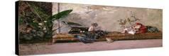 Stretched Canvas Print