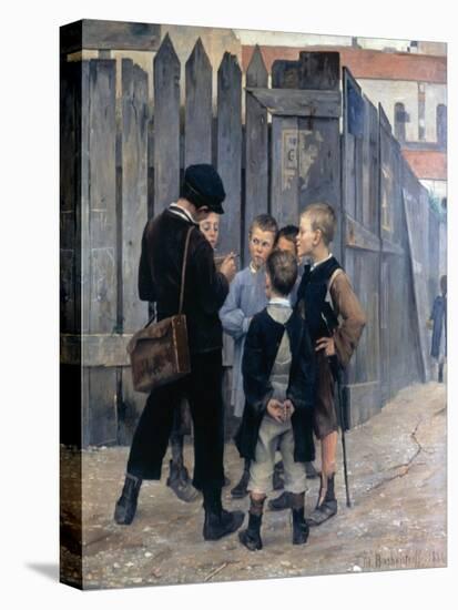 Stretched Canvas Print, , large