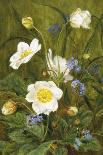 Anemones and Forget-Me-Nots-Maria Krabbe-Giclee Print