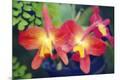Premium Photographic Print