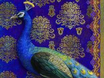 Black Peacock-Maria Rytova-Giclee Print