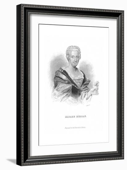 Maria Sibylla Merian, German Naturalist and Flower Painter-William Home Lizars-Framed Giclee Print