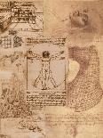 Da Vinci-Maria Trad-Giclee Print