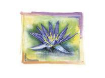 Orchid Magena-Maria Trad-Giclee Print