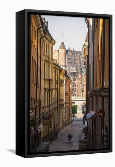 Mariaberget and Gamla Stan, Stockholm, Sweden, Scandinavia, Europe-Jon Reaves-Framed Premier Image Canvas