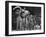 "Mariachi" Band Playing for the Manizales-null-Framed Photographic Print