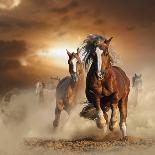 Two Wild Chestnut Horses Running Together in Dust, Front View-mariait-Stretched Canvas