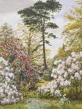 A Day in the Garden-Marian Chase-Premier Image Canvas