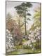 Giclee Print