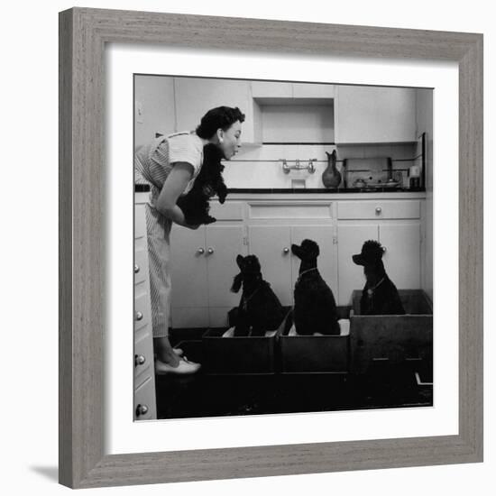 Marian Elliott, Dog Sitting Four French Poodles-Leonard Mccombe-Framed Photographic Print