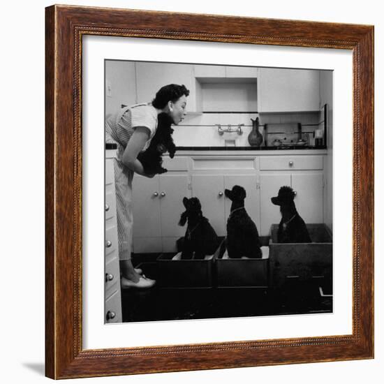 Marian Elliott, Dog Sitting Four French Poodles-Leonard Mccombe-Framed Photographic Print