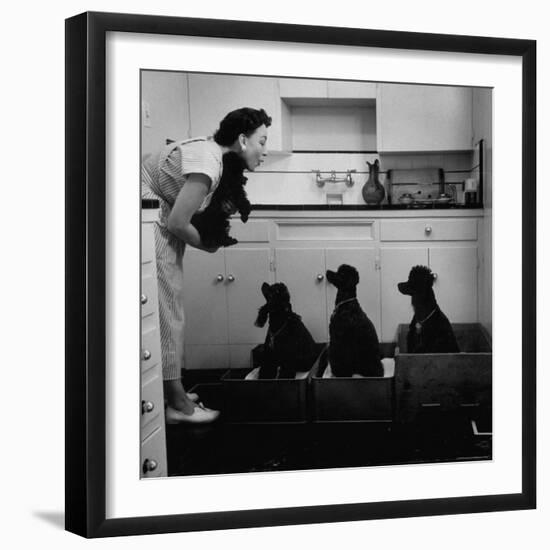 Marian Elliott, Dog Sitting Four French Poodles-Leonard Mccombe-Framed Photographic Print