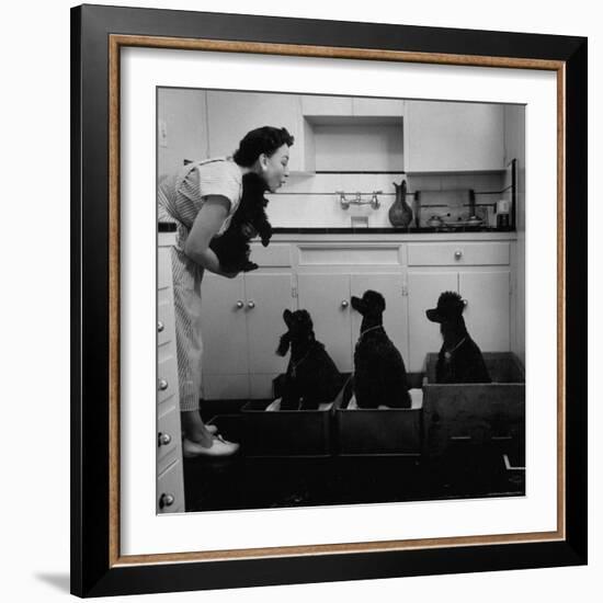 Marian Elliott, Dog Sitting Four French Poodles-Leonard Mccombe-Framed Photographic Print