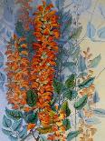 Sixty-Seven Lepidoptera, in Five Columns, Mostly Butterflies-Marian Ellis Rowan-Giclee Print