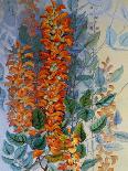 Twenty-two butterflies, all belonging to the family Nymphalidae-Marian Ellis Rowan-Giclee Print