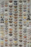 One Hundred and Fifty-eight Medium and Small-sized Moths in Seven Columns-Marian Ellis Rowan-Framed Giclee Print