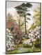 Giclee Print