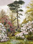 A Pretty Woodland Garden-Marian Emma Chase-Framed Giclee Print