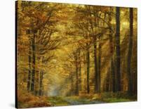 Enchanted Forest-Marianna Safronova-Giclee Print