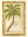Licuala Grandis Palm-Marianne D^ Cuozzo-Art Print