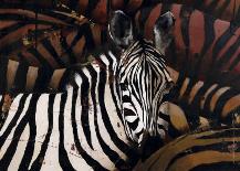 Zebras-Marianne Julie Jegou-Framed Art Print