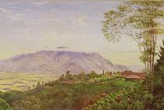 Tea Gathering in Mr. Hoelle's Plantation at Garoet, Java, circa 1875 (Board)-Marianne North-Premier Image Canvas