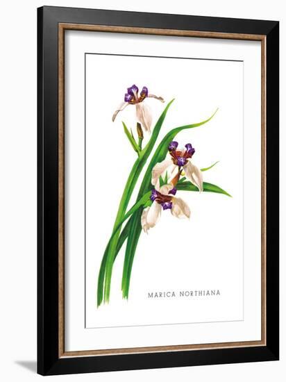 Marica Northiana-H.g. Moon-Framed Art Print