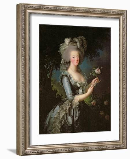 Marie Antoinette (1755-93) with a Rose, 1783-Elisabeth Louise Vigee-LeBrun-Framed Giclee Print