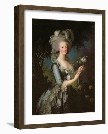 Marie Antoinette (1755-93) with a Rose, 1783-Elisabeth Louise Vigee-LeBrun-Framed Giclee Print