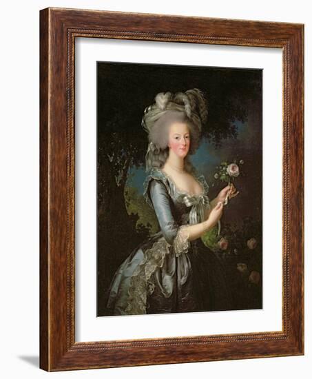 Marie Antoinette (1755-93) with a Rose, 1783-Elisabeth Louise Vigee-LeBrun-Framed Giclee Print