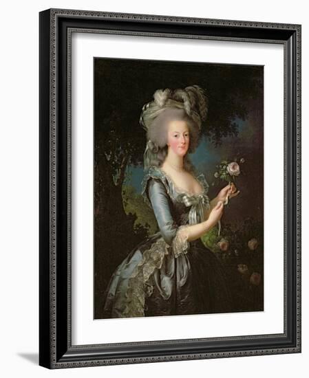 Marie Antoinette (1755-93) with a Rose, 1783-Elisabeth Louise Vigee-LeBrun-Framed Giclee Print