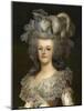 Marie-Antoinette d'Autriche reine de France et ses deux premiers enfants-Adolf Ulrich Wertmuller-Mounted Giclee Print