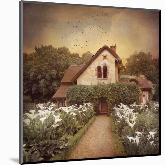 Marie Antoinette’s Cottage, Versailles, France-Dawne Polis-Mounted Art Print