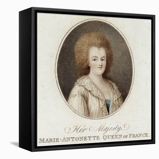 Marie Antoinette, Violet-null-Framed Stretched Canvas