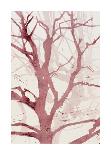 Arbres (Rouge), 2015-Marie-Cecile Clause-Giclee Print