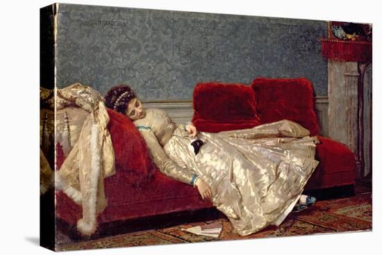 Stretched Canvas Print, , large