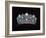 Marie Louise Diadem-null-Framed Photographic Print