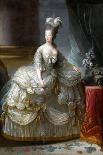 Portrait of Princess Elzbieta Izabela Lubomirska (Née Countess Czartorysk) (1736-181)-Marie Louise Elisabeth Vigée-Lebrun-Giclee Print