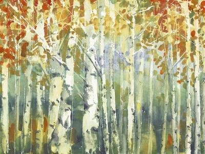 Birch Wall Art: Prints & Paintings | Art.Com