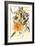 Marigold and Other Flowers, 2004-Claudia Hutchins-Puechavy-Framed Giclee Print