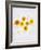 Marigold, Calendula Officinalis, Blossoms, Petals, Orange, Still Life-Axel Killian-Framed Photographic Print